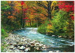 Puzzle 1000 pièces - Cours d'eau dans la Forêt - Eurographics