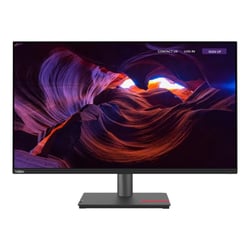 Lenovo ThinkVision P32p-30 P32p30 (63D1RAT1EU)