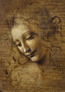 Puzzle 1000 pièces - Leonard de Classiqueci - La Scapigliata, 1506-1508 - Bluebird Puzzle