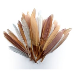 Graine Créative - Plumes d'indien pour activités enfant Camaieu beige 15cm