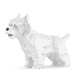 Chien West Highland White Taille standard | JEKCA | 14 ans et +