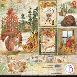 12 papiers scrapbooking carterie 30 x 30 cm Ciao Bella INTO THE WILD