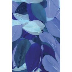 Graine Créative - Plumes coupées camaieu bleu 10g 6cm