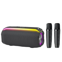 Enceinte Bluetooth Portable 20W TWS Son HD Micro Double Gris YONIS