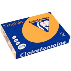 Ramette Papier FSC A4 120g 250 Feuilles IVOIRE