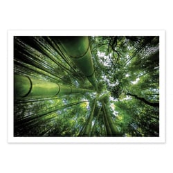 Affiche 30x40 cm - ARASHIYAMA - David Ros