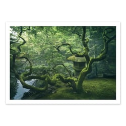 Affiche 30x40 cm -  Japanese Tree - Javier De La