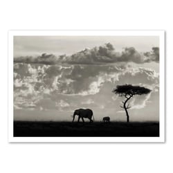 Affiche 50x70 cm - Silhouette of an elephant