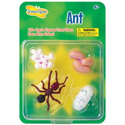 Figurines métamorphose Fourmis