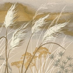 Lot de 4 serviettes en papier découpage collage 33 cm PLANTE GRASSE N 104