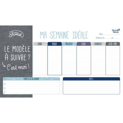 SOUS-MAIN FEUILLETS FR Shaman - 25x43 cm