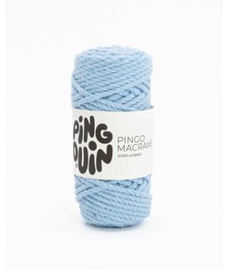 Bobine de corde PINGO MACRAME - 100GR - Pingouin Ciel