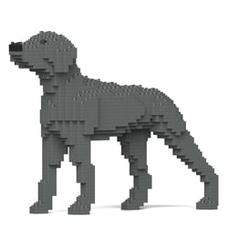 Chien Braque de Weimar Taille standard | JEKCA | 14 ans et +