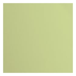 Papier cartonné texturé Florence - Tous niveaux - 20 feuilles - Anise - 30,5 x 30,5 cm - 216 g/m²