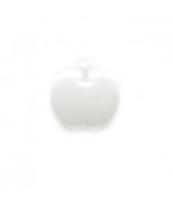 Carte de 5 boutons Pomme blanche 14mm - Distrifil Blanc