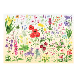Puzzle 1000 pièces - Wildflowers - HOP - House of Puzzles