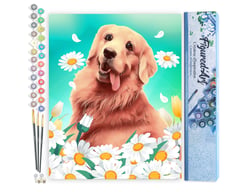 Peinture par Numéro Figured'Art - Golden Retriever - Kit de Loisir Créatif DIY Numéro d'Art Complet - 40x50cm sans châssis en bois