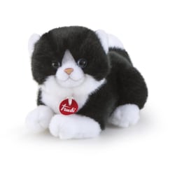 no - Chat Blanc et Noir