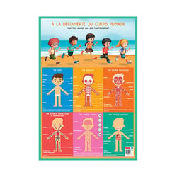 Poster pédagogique - Découverte du corps humain - 52x76cm - A afficher - Bouchut