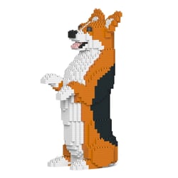Chien Welsh Corgi debout roux et noir Taille standard | JEKCA | 14 ans et +