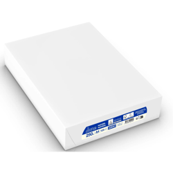 Ramette de papier - A4 - Teinte naturelle - 250g - Paquet de 125 feuilles - Impression laser et encre