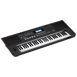 Clavier arrangeur Roland E-X50 - 61 touches - Noir - 104,8 x 39,1 x 14,1 cm