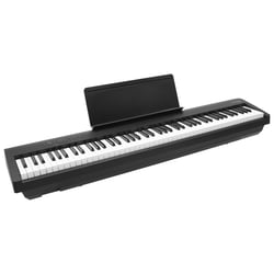 FP-30X Black Roland