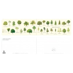 Longue vue editions - Arbres des forêts - Carte double