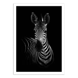 Affiche 30x40 cm - The Zebra - Wildphoto