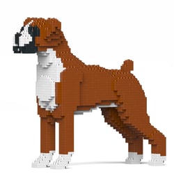 Chien Boxer marron Taille standard | JEKCA | 14 ans et +