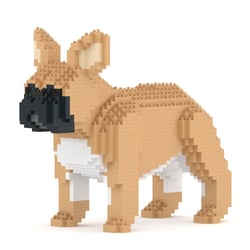 Chien Bouledogue Français oreilles dressées fauve Taille standard | JEKCA | 14 ans et +