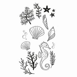Tampons transparents - Plantes et animaux de l'océan - 15 clear stamps - Sizzix