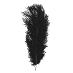 Plume d'autruche, 30 cm, 1 pce, noir