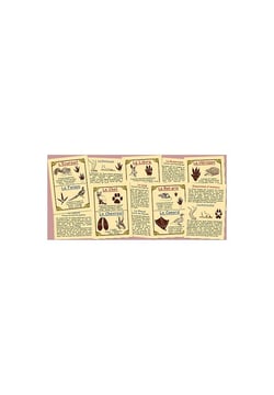 Empreintes d'animaux de nos campagnes