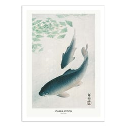 Affiche 30x40 cm - Carp Or Koi - Pictufy