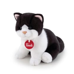 - Chat Brad Blanc et Noir