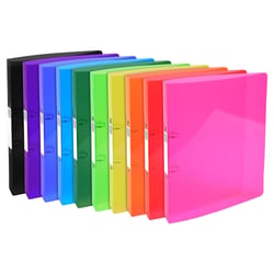 Classeur 2 anneaux 30mm IDERAMA PP - A4 maxi - Couleurs assorties - x 10 - Exacompta