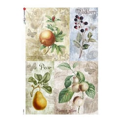 1 feuille de papier de riz 22.5 x 32 cm découpage collage Paper Designs FRUIT VINTAGE 0112