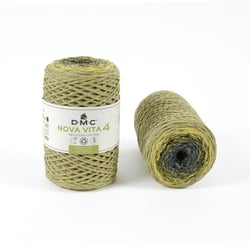 DMC - Fil Coton Recyclé Eco Vita Multico 4mm 250g Col. 108 gris jaune