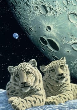 Puzzle 1500 pièces - Schim Schimmel - Lair of the Snow Leopard - Grafika