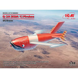 Q-2A (KDA-1) Firebee, drone américain (2 avions et pilons)
