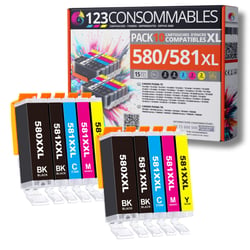 580 581XL - Pack 10 cartouches Canon 580/581 XL compatibles TS8150 TR7500 - 123CONSOMMABLES