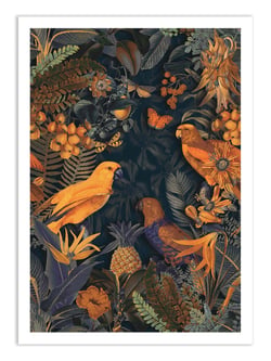 Affiche 30 x 40 cm - Parrots midnight paradise - Andrea Haase