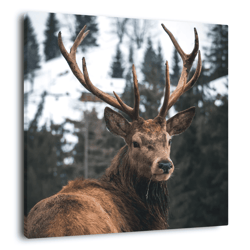 Tableau sur toile regard d'un cerf 65x65 cm