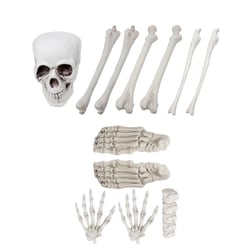 Sac d'ossements - lot de 12 pièces