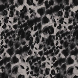 Tissu Jersey Milano Panthera sur fond Gris clair - Au mètre