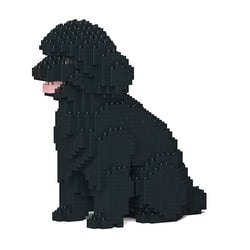 Chien Caniche Nain assis noir Taille standard | JEKCA | 14 ans et +