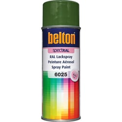 Spray de peinture Belton Spectral RAL6025 vert fougère 400ml