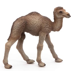 Figurine Bébé dromadaire - Papo