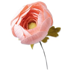 Matrices de découpe Thinlits Sizzix - Ranunculus par Olivia Rose - Lot de 5